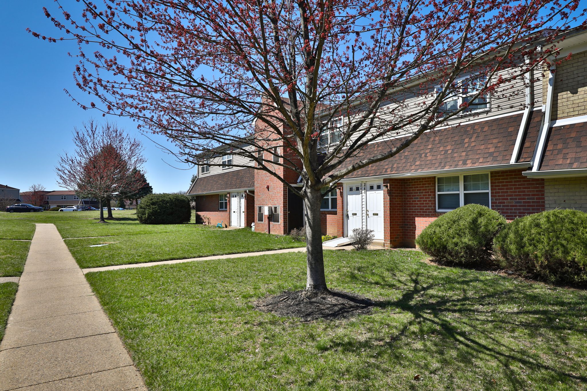 Photos Lakeview Terrace Apartments