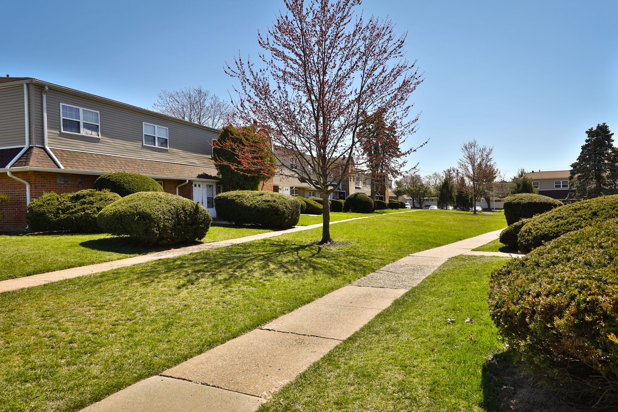 Photos Lakeview Terrace Apartments