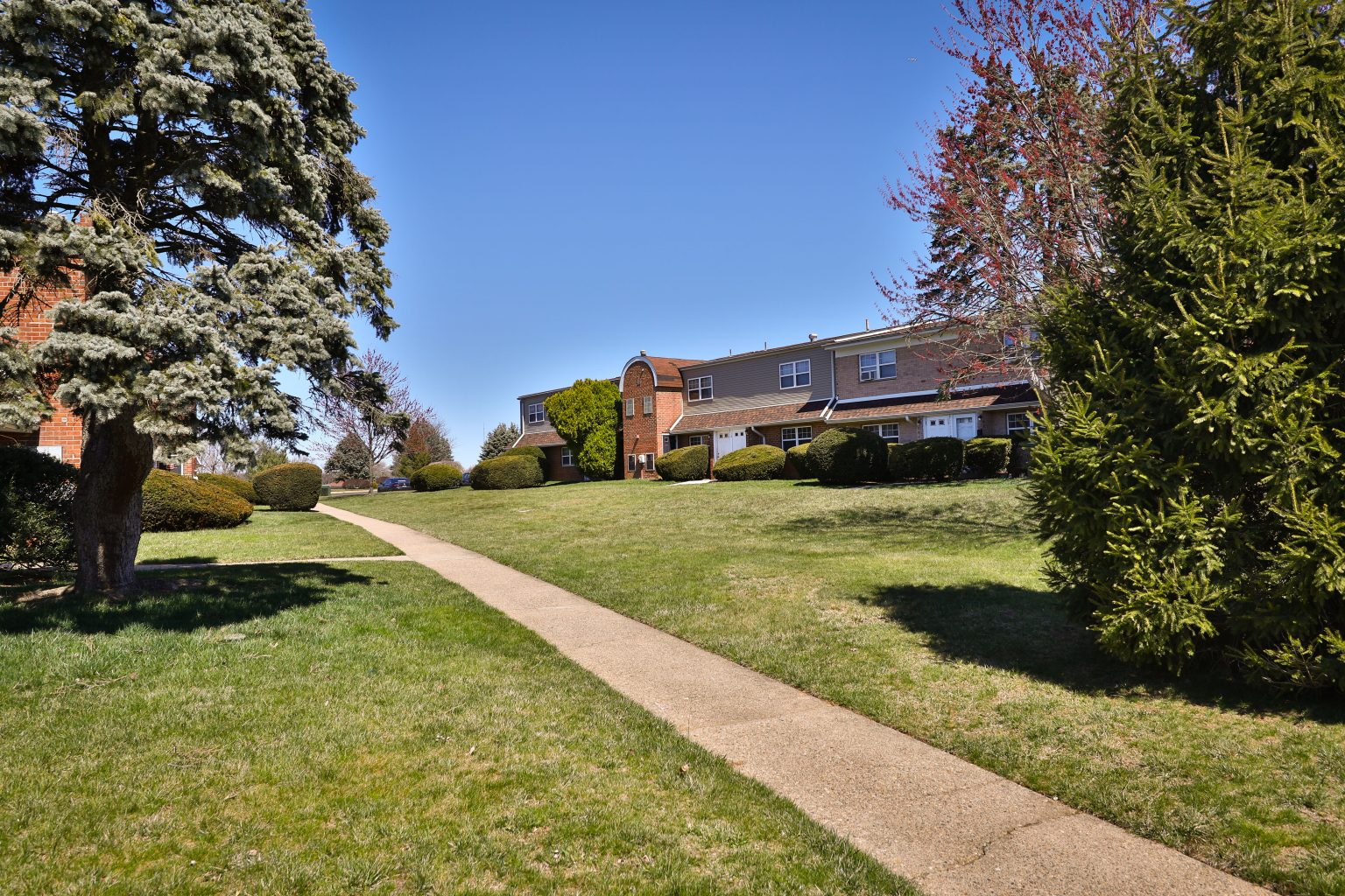 Photos Lakeview Terrace Apartments