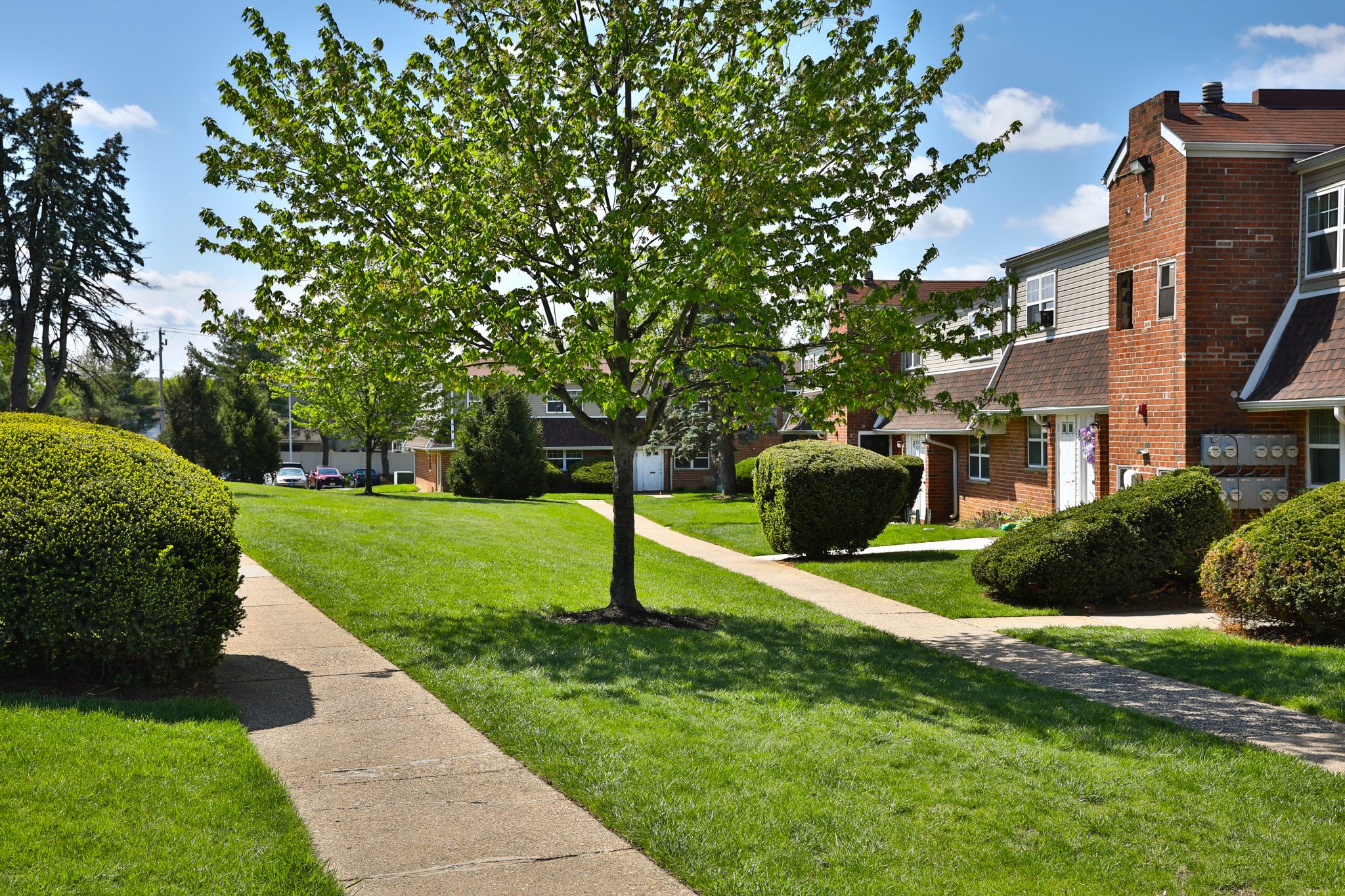 Photos Lakeview Terrace Apartments